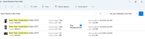 How to search for only Video files in File Explorer of Windows 11
