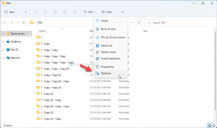 How to set a default Folder View for all folders in Windows 11/10