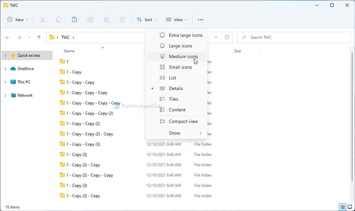 How to set a default Folder View for all folders in Windows 11/10