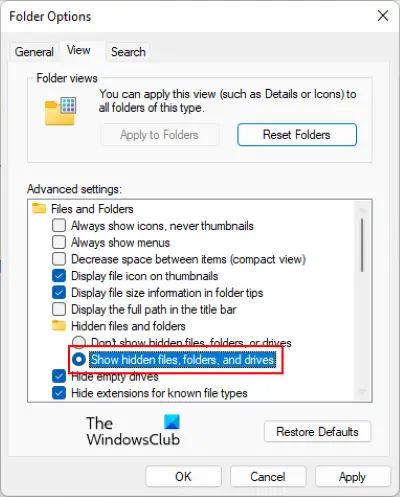 show hidden files folders Windows 11