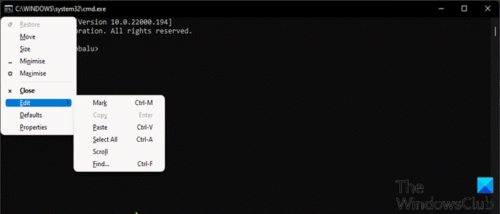 Enable CTRL C CTRL V in Command Prompt in Windows 11/10