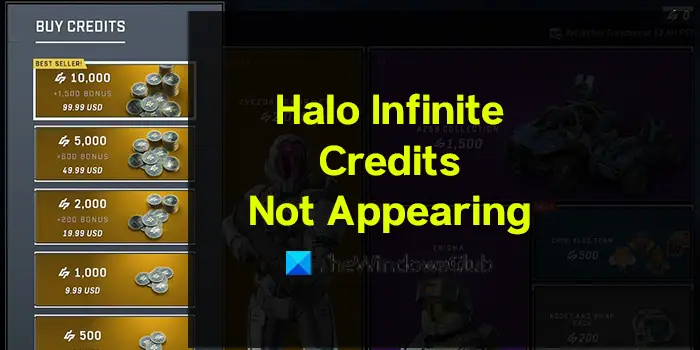 Halo Infinite Credits Not Appearing