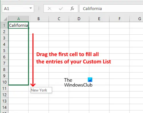 How to use Custom List Excel