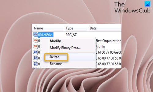 Modify Registry-Delete 001e660e registry key