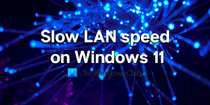 Slow LAN speed