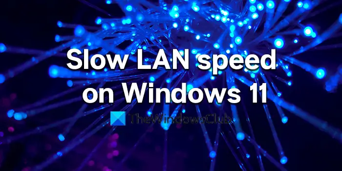 Fix Slow LAN Ethernet speed on Windows 11/10 computer