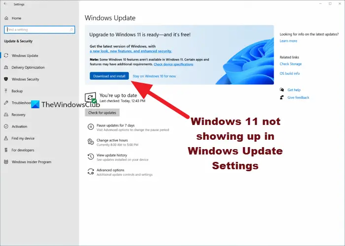 Windows 11 not showing up in Windows Update Settings