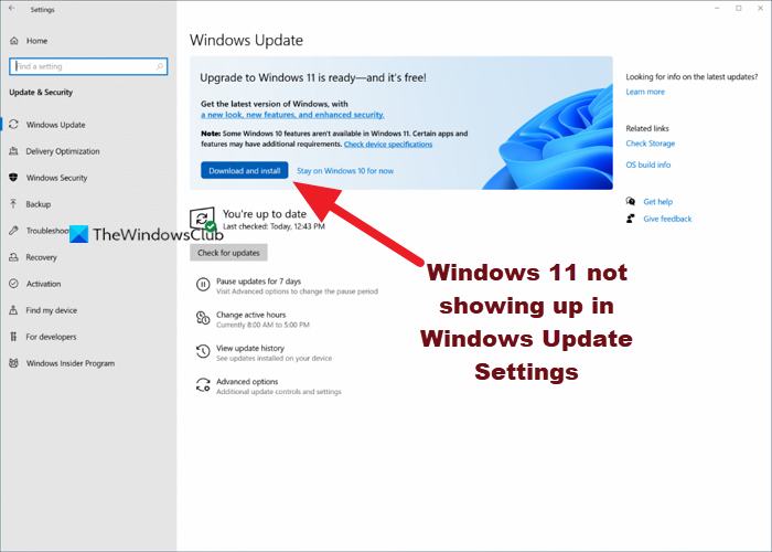 Windows 11 not showing up in Windows Update Settings - 72