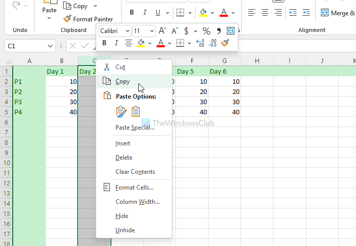 How to Copy Paste columns and rows in Excel spreadsheet