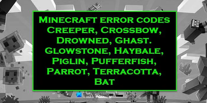 Minecraft Error Code