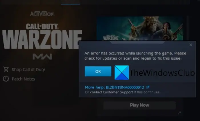 An error has occurred while launching the game in Call of Duty Warzone