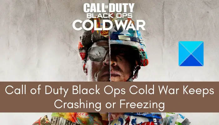 Call of Duty Black Ops Cold War Keeps Crashing or Freezing on PC