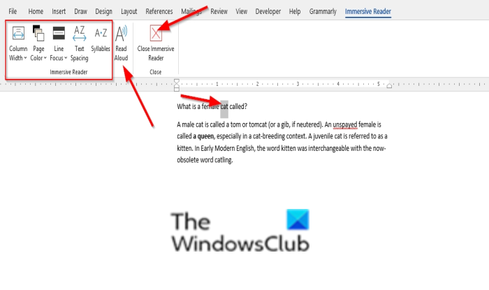 How to use Immersive Reader in Word and Edge?