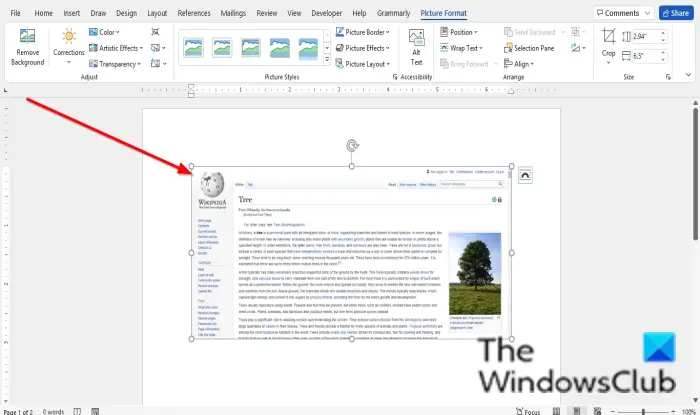 How to use the built-in Screenshot tool in Office programs