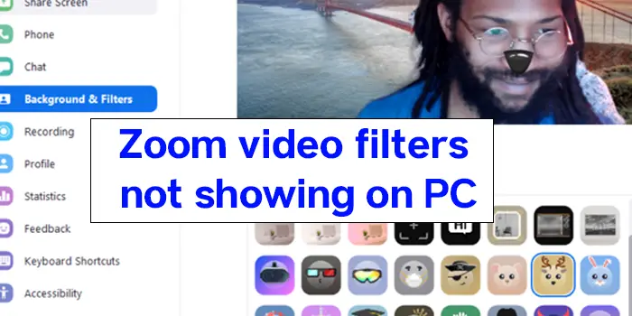 Zoom Video filters
