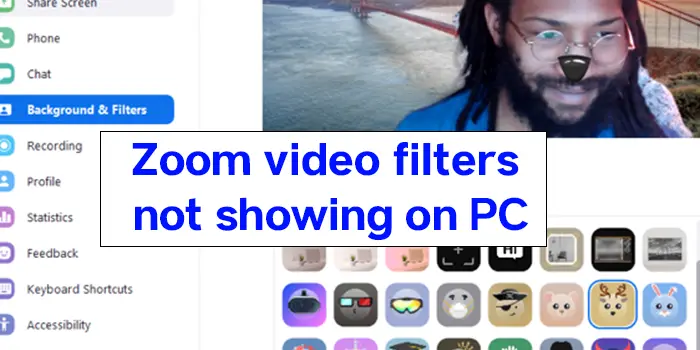 Zoom video filters not showing on PC
