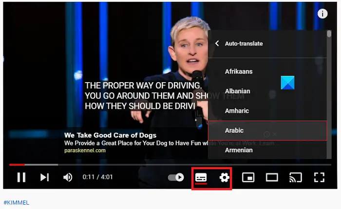 change YouTube video subtitles language