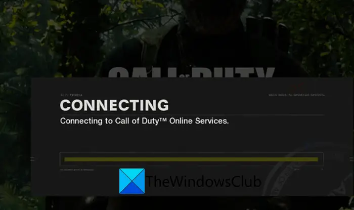 Call of Duty Black Ops Cold War Not Connecting to Online Services