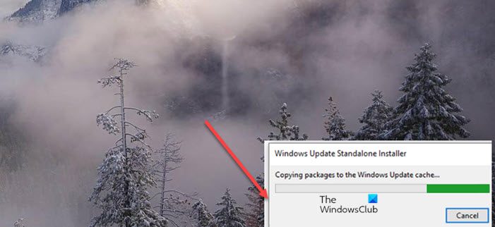 Copying Packages To The Windows Update Cache