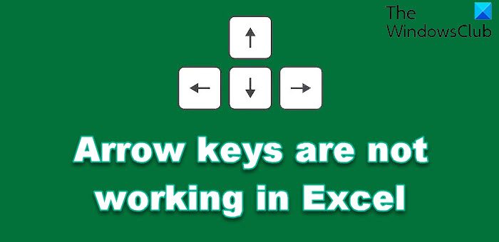 Arrow keys are not working in Excel