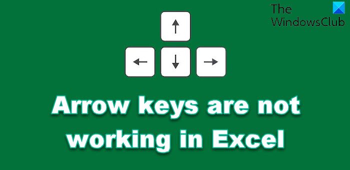 cannot see up and down arrows windows 10 cannot see up and down arrows windows 10