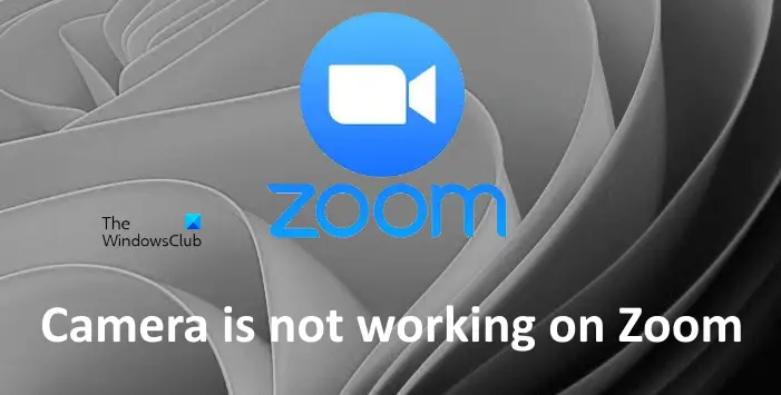How to Add Profile Picture in Zoom No Camera  YouTube