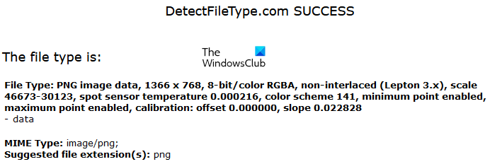 Detect File Type