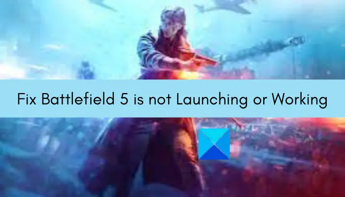 Fixed an issue where Battlefield 5 wouldn't start or work