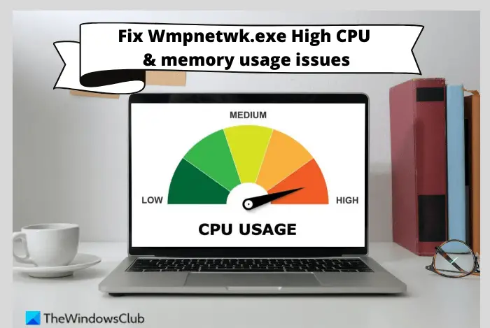 Wmpnetwk.exe High CPU or Memory usage