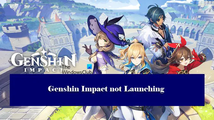 Genshin Impact not Launching