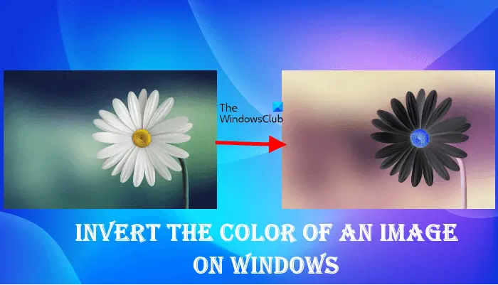 Invert color of image on Windows