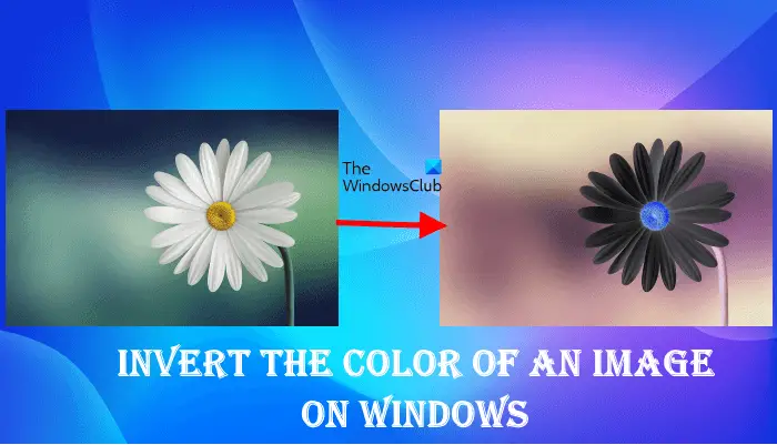 Invert Colors to Create Negative Image Instantly