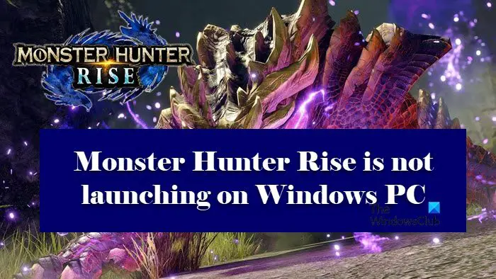 Monster Hunter Rise is not launching 
