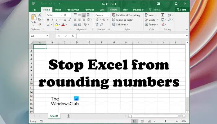 Stop Excel from rounding numbers
