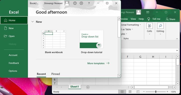 How to open two Excel files in separate windows