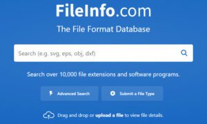 How to open file with no extension in Windows 11/10