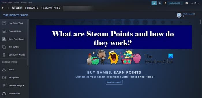 What are Steam Points