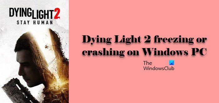Dying Light 2 freezing or crashing Dying Light 2 freezing or crashing