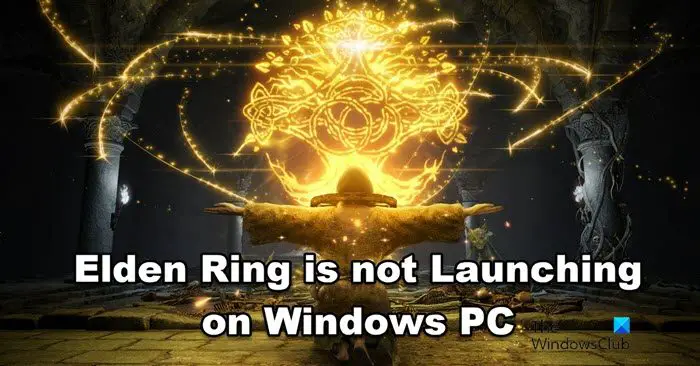 Elden Ring is not Launching on Windows PC