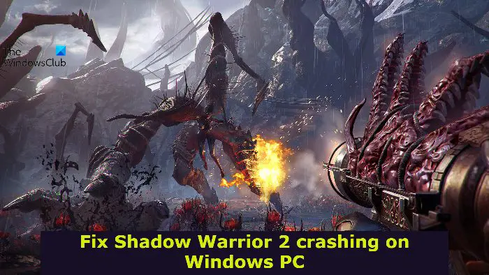 Fix Shadow Warrior 2 crashing on Windows PC