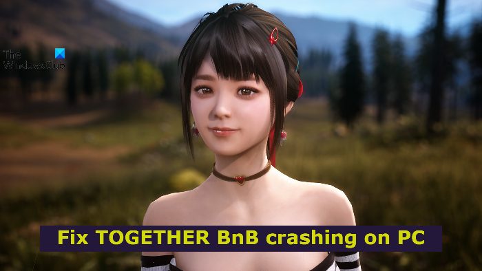TOGETHER BnB is crashing, freezing or stuttering on Windows PC