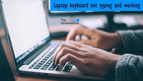 my laptop keyboard is not typing windows 11