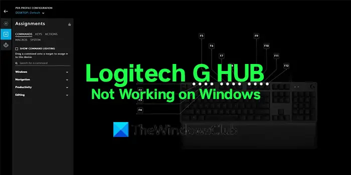morbiditet Ud over Og hold Fix Logitech G HUB not working on Windows 11/10