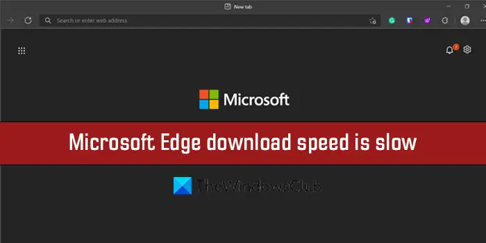 Microsoft Edge download speed is slow