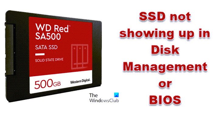 indvirkning Broderskab Løft dig op SSD not showing up in Disk Management or BIOS in Windows 11/10