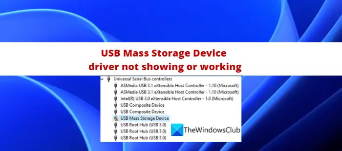 USB Mass Storage Device Driver Not Showing or Working