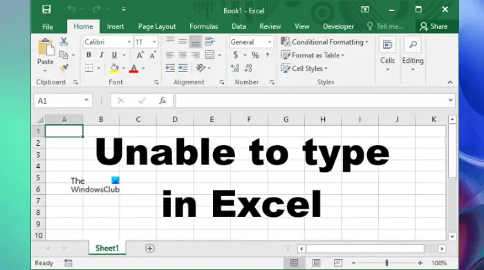 Can't type numbers or enter data into Excel cell