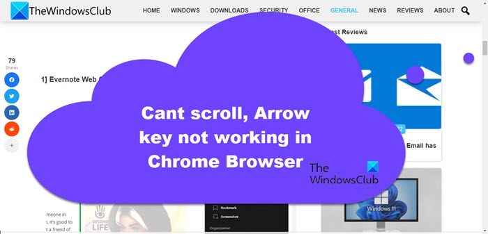 Cant scroll, Arrow keys not working in Chrome browser