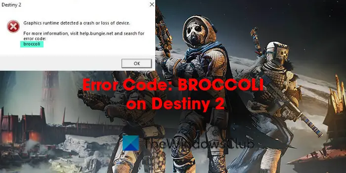 Error Code: BROCCOLI on Destiny 2