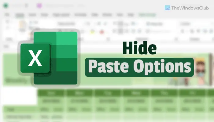 How to hide Paste Options button after pasting in Excel